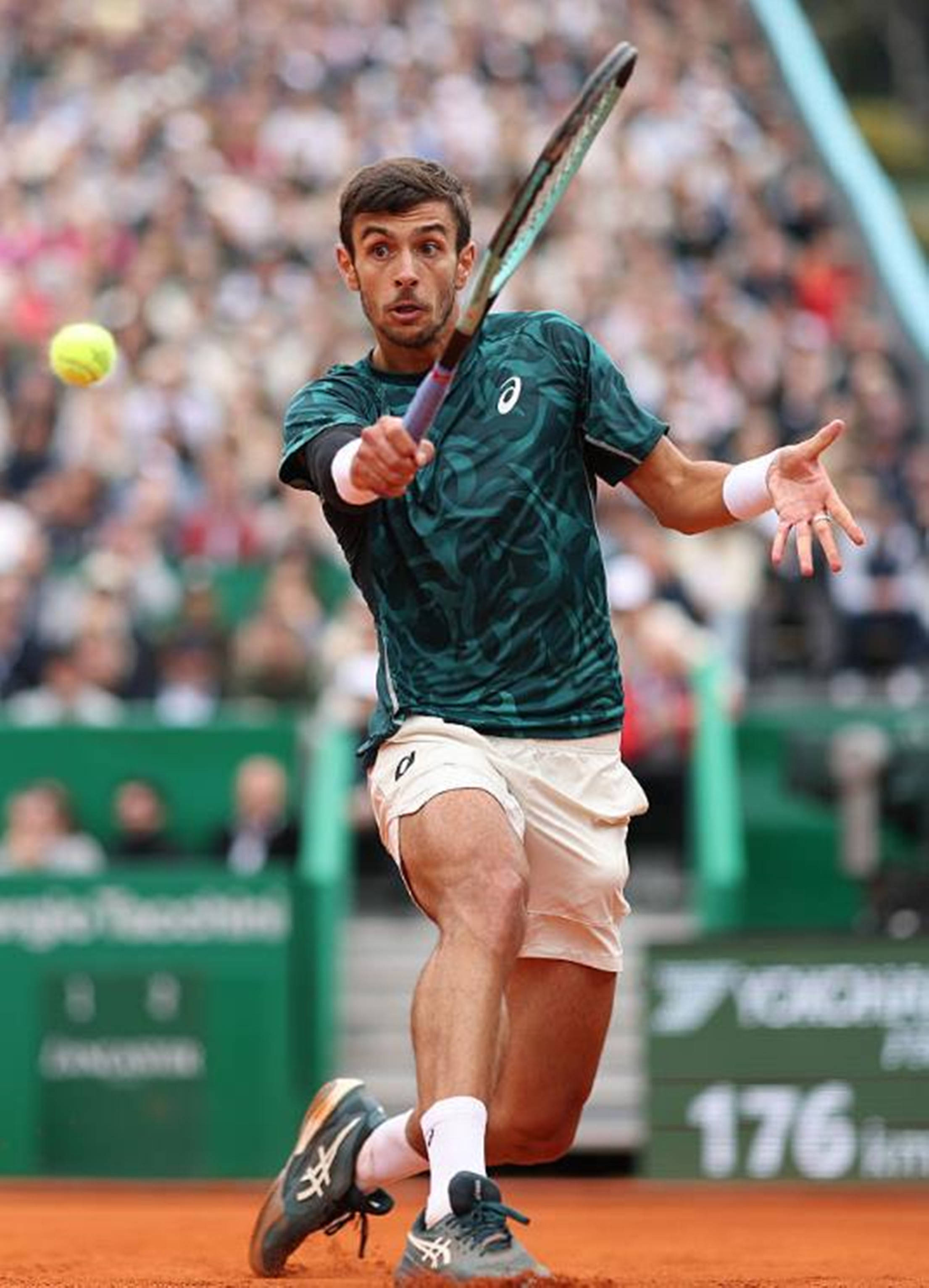 体育的教育 体育的教育